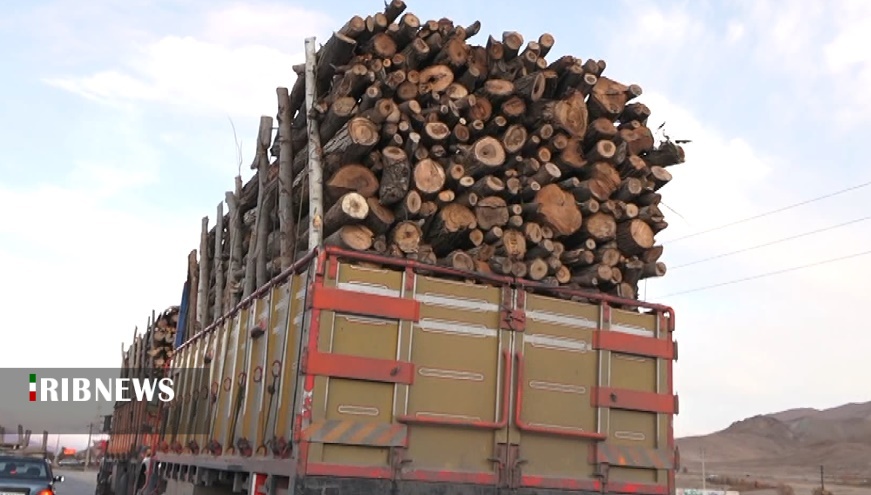 قاچاق یا تجارت چوب‌های جنگلی کردستان