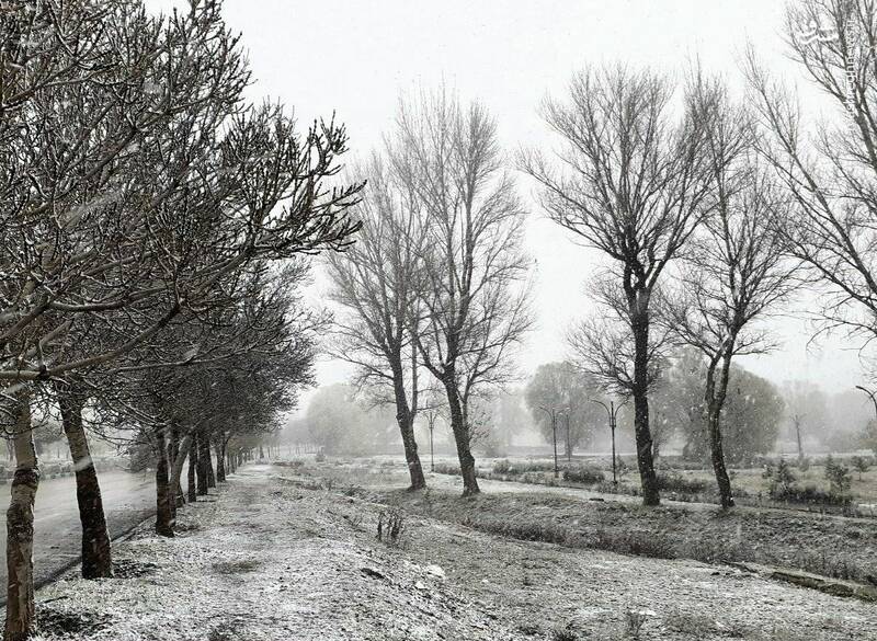 آسمان یزد برفی می شود