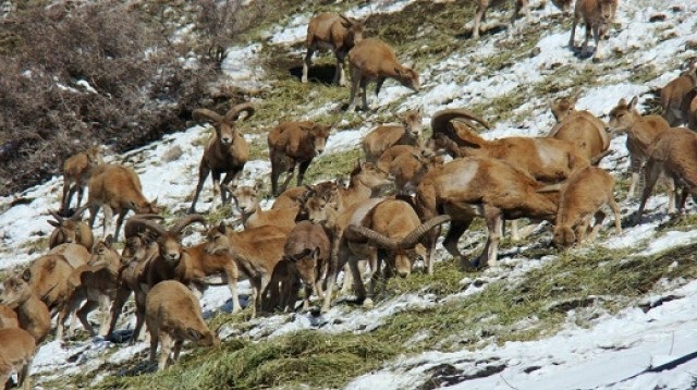 هوای میهمانان ناخواسته خود را داشته باشیم