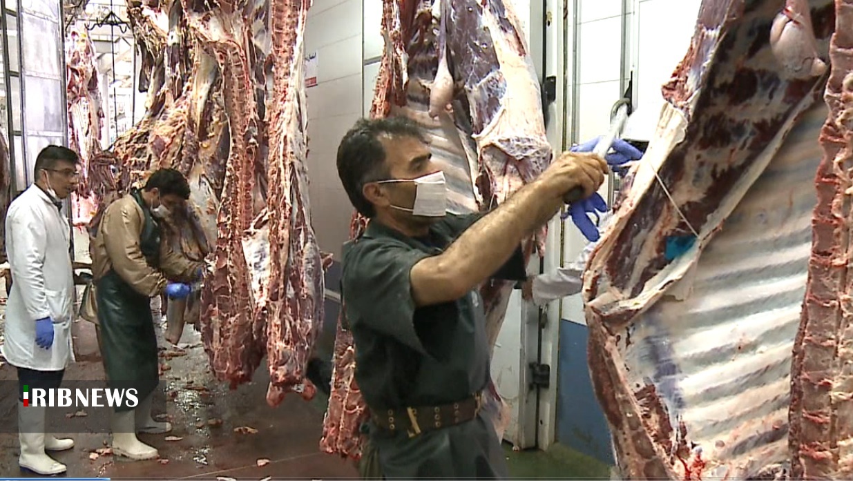 معدوم سازی ۵۵ هزار کیلو گوشت غیربهداشتی در کردستان