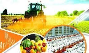 جهاد کشاورزی متولی تنظیم بازار محصولات کشاورزی