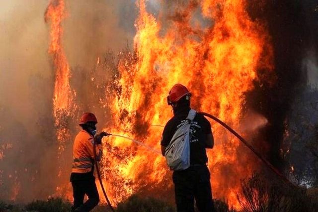 آتش سوزی درخت ۲۰۰ ساله گردو در روستای ملی ابریشم کشی بسک