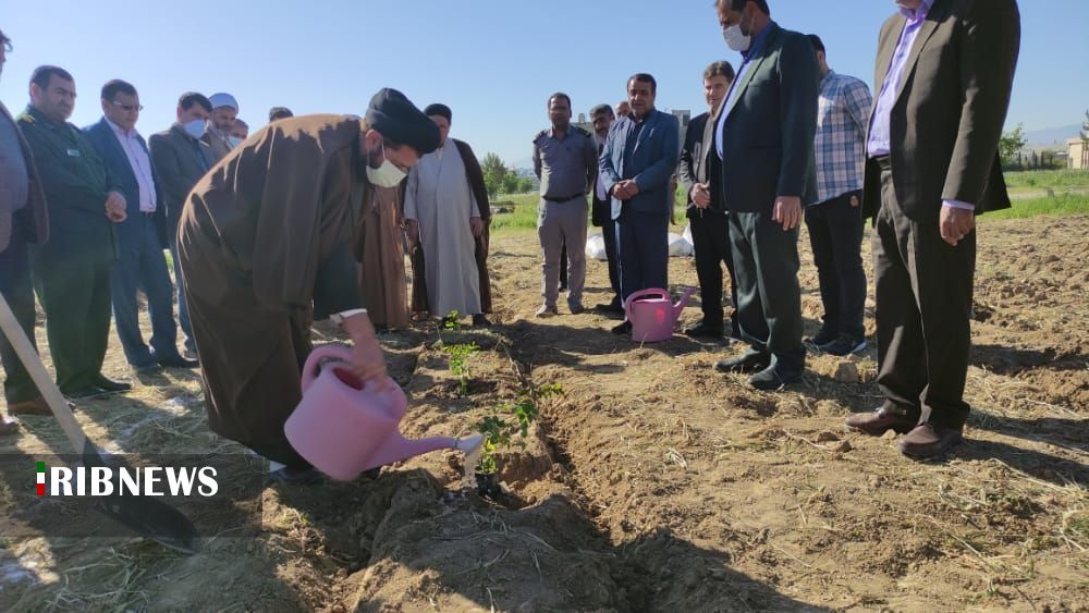 توسعه طرح گیاهان دارویی در دانشگاه آزاد واحد دهدشت