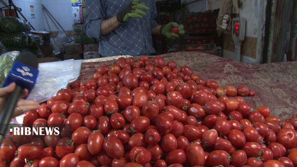 قیمت گوجه در همدان همچنان قرمز