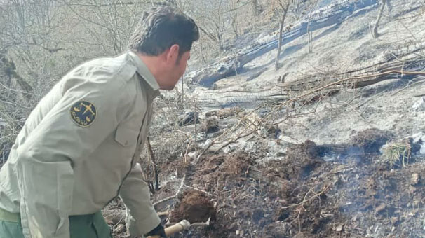 مهار آتش سوزی‌های سه روز گذشته در جنگل‌های مازندران