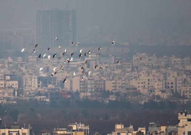 آسمان البرز در غبار آلودگی محو شد