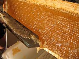 دارو‌های غیر اصولی موجب کاهش تولید عسل