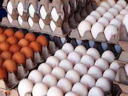 توزیع روزانه ۱۰ تُن تخم‌مرغ در بازار چهارمحال و بختیاری
