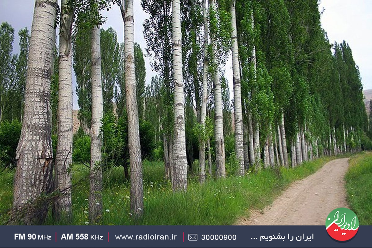 سفری به روستای ارجمند در «راهی به آبادی»