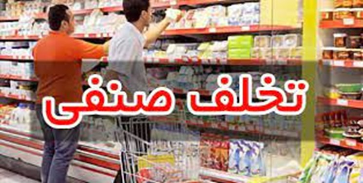 تشکیل ۱۸۷ فقره پرونده تخلفات صنفی در ایلام