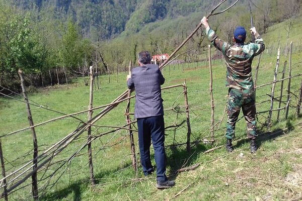 رفع تصرف بیش از ۴۰۰ هکتار زمین ملی در سال ۱۴۰۰