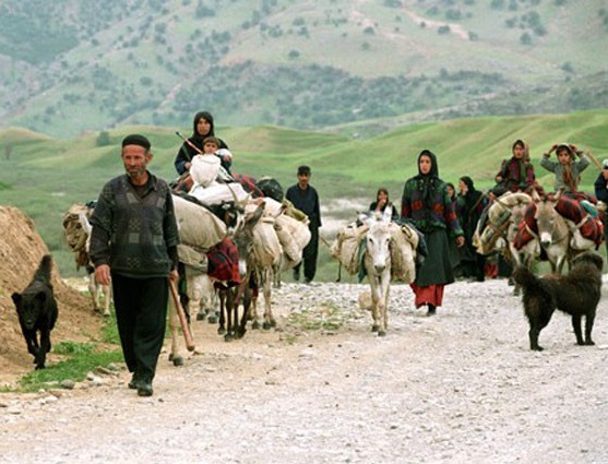 کمبود علوفه علت کوچ زودهنگام عشایر