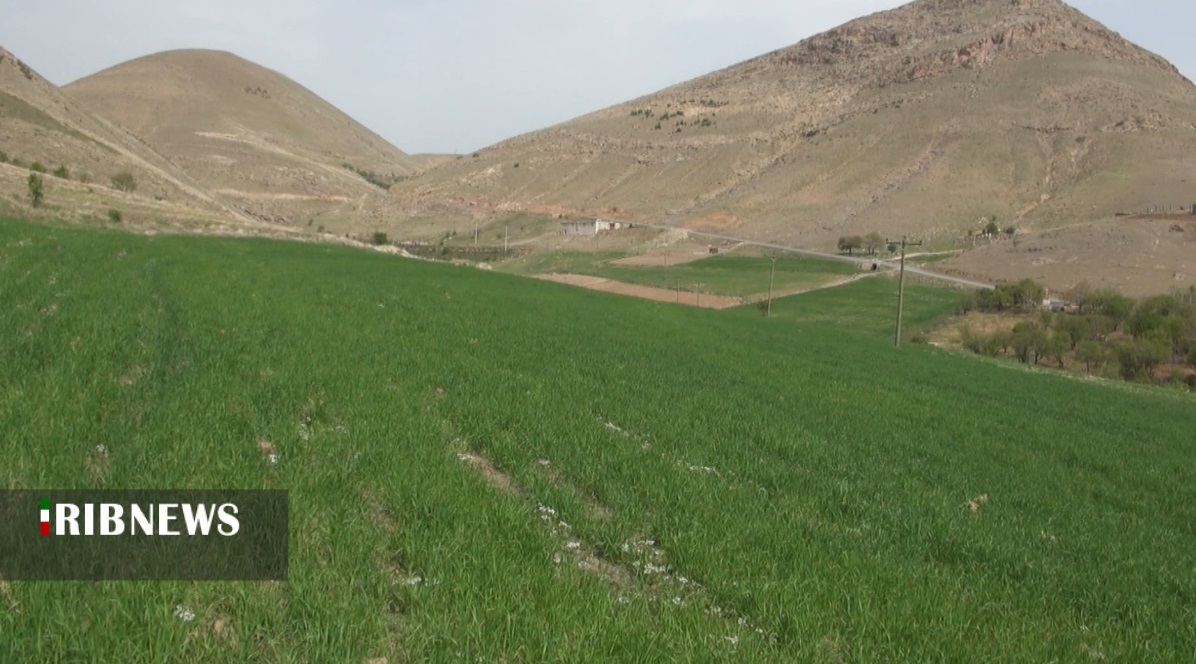 توصیه به کشاورزان کردستانی برای مبارزه با آفات