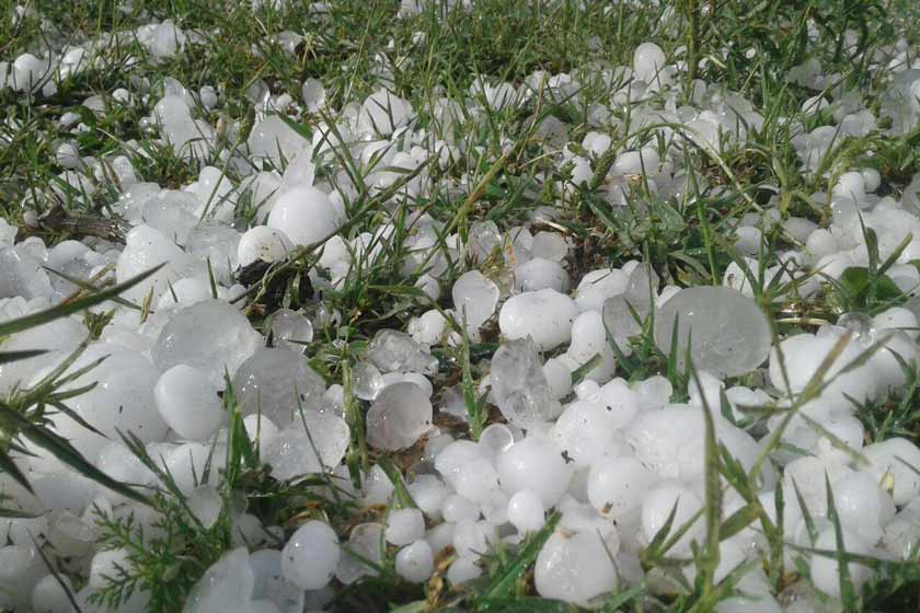 جولان تگرگ و رگبار در نیمه شمالی استان