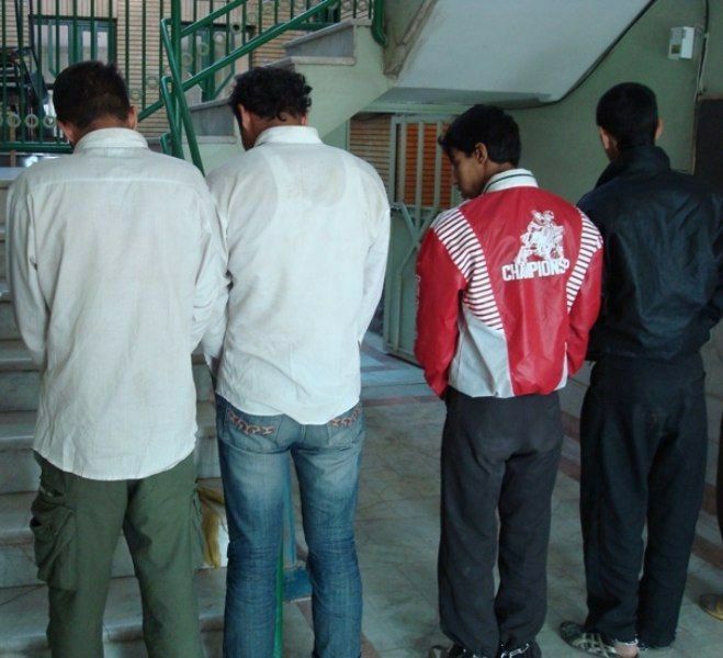 دستگیری متهمان سرقت پرنده‌های زینتی در نیشابور