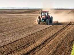 اجرای طرح جهش تولید در ۲۳۵ هزارهکتار از دیمزارهای آذربایجانغربی