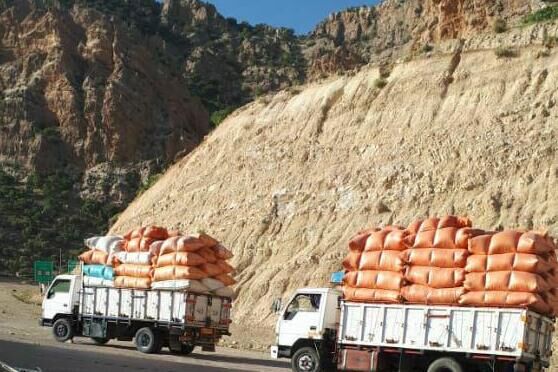 صادرات «کاه» به جای «آخال حبوبات» با مجوز گمرک صادرات!