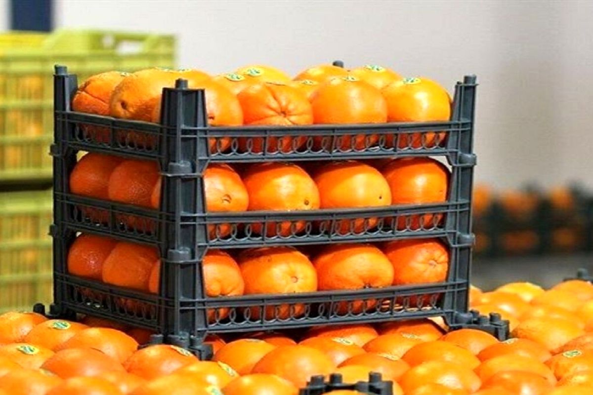 افزایش توزیع میوه تنظیم بازار شب عید در خوزستان