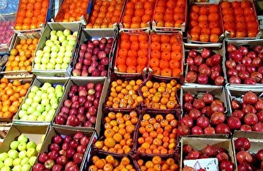 توزیع بیش از ۴۴۰ تن میوه تنظیم بازار در کرمانشاه