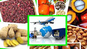 استفاده از ظرفیت شرکت‌های دانش‌بنیان فعال برای صادرات محصولات کشاورزی