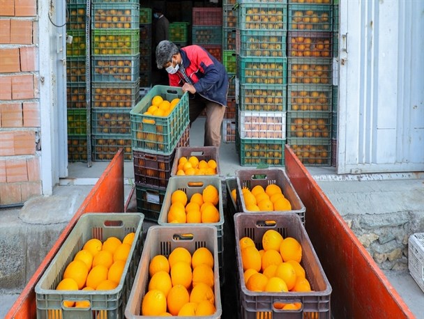 ادامه توزیع اینترنتی میوه با نرخ مصوب تا ماه رمضان