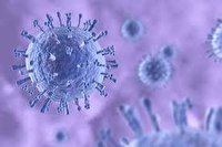 افزایش ابتلا به آنفلوآنزا در آمریکا پس از یک سال وقفه