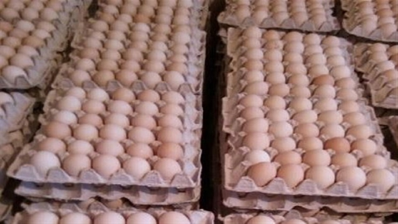 کشف بیش از ۲۰۰ کیلوگرم تخم مرغ فاقد تاریخ در قزوین