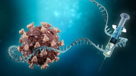 حسینی// با استفاده از نانوذرات لیپیدی و mRNA واکسن ضدآبله میمونی ساخته شد