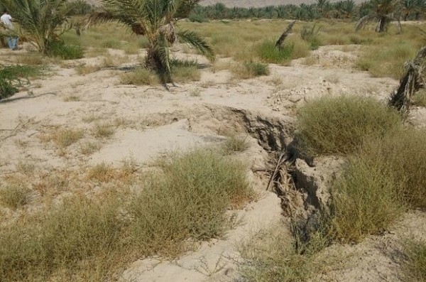 وضعیت آبخوان‌های بوشهر شکننده است‌‌‌‌‌