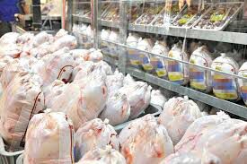توزیع ۱۰ تن گوشت مرغ منجمد بین خانواده‌های نیازمند تایباد