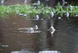 افزایش ۲۰۰ درصدی میانگین بارش‌ها در درازمدت