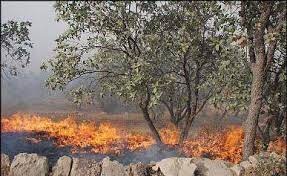 اجرای ۲۵ کیلومتر خط آتش در جنگل‌های پسته خواجه شهرستان کلات