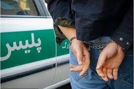 دستگیری عامل شرارت در کرمان