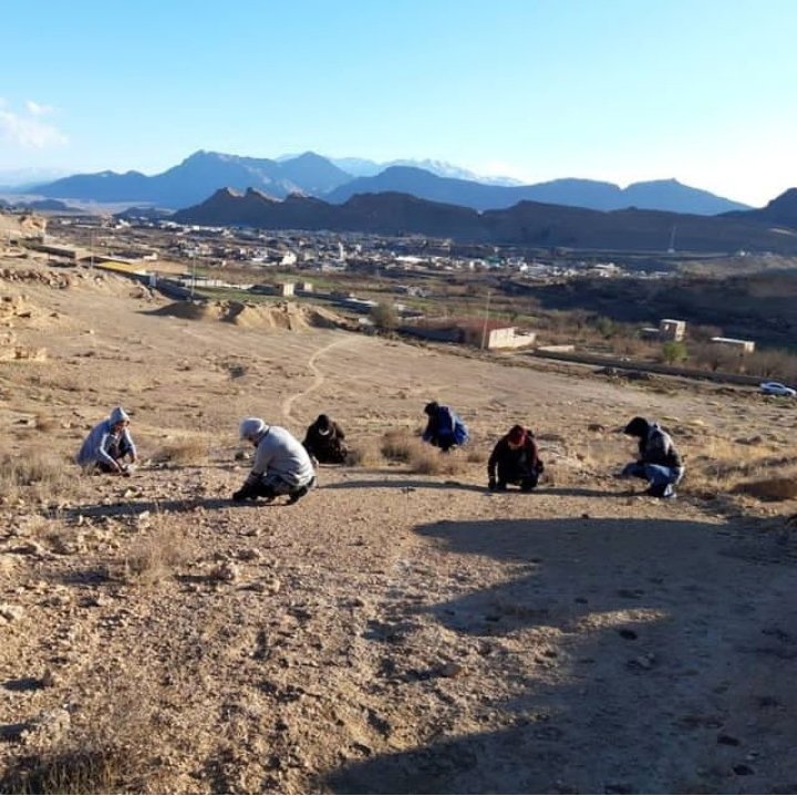 کاشت بذر بادام کوهی و فندق در طبیعت سیاه کوه روستای رامشه جرقویه