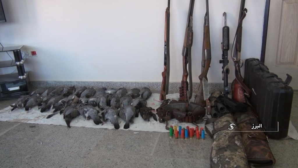 دستگیری ۴ متخلف شکار در شهرستان البرز