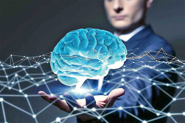 کشف لایه‌ای جدیذ در مغز انسان