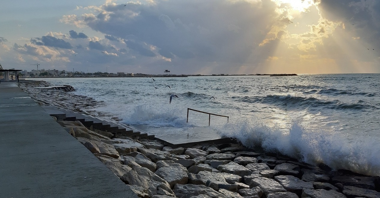 سرما در راه بوشهر