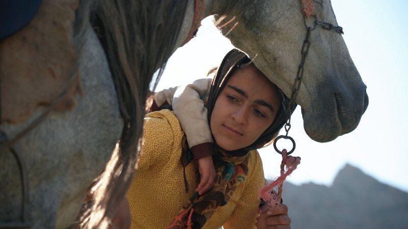 حضور مستند رویای یک اسب در جشنواره بیگ اسکای