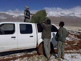 آماده باش ۲۴ ساعته محیط بانان خراسان شمالی