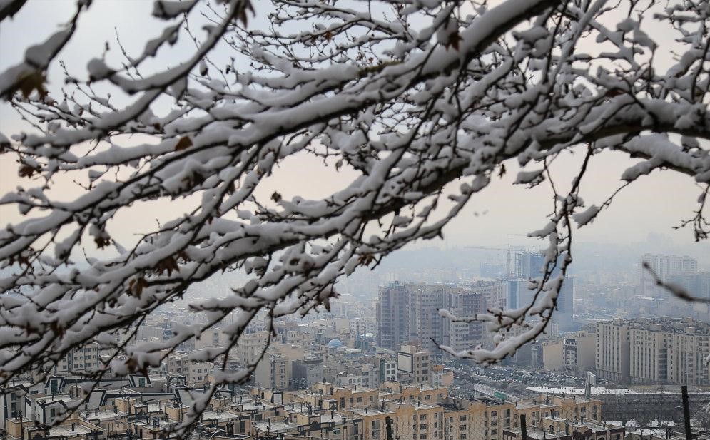 سرما؛ یخبندان و همسایگان بی پناه ما