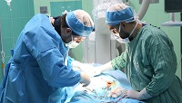 کلانشهر مشهد دارای بالاترین تعداد جراحان عروق کشور