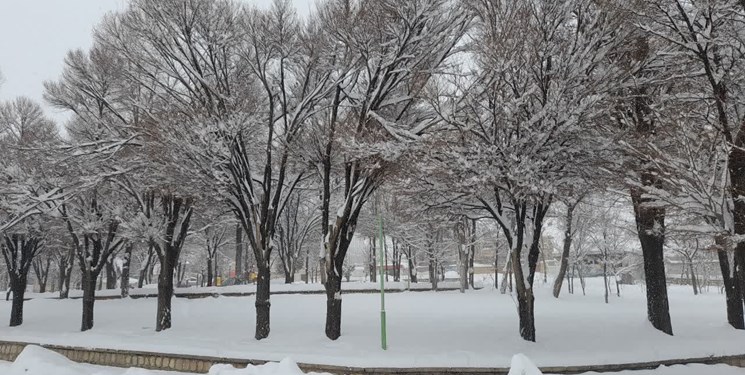 کاهش ۶۲ درصدی بارش نزولات جوی در استان 