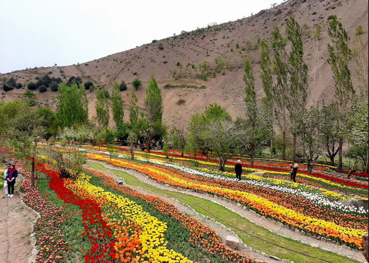 دومین جشنواره لاله‌های آسارا در بهار ۱۴۰۲ برگزار می شود