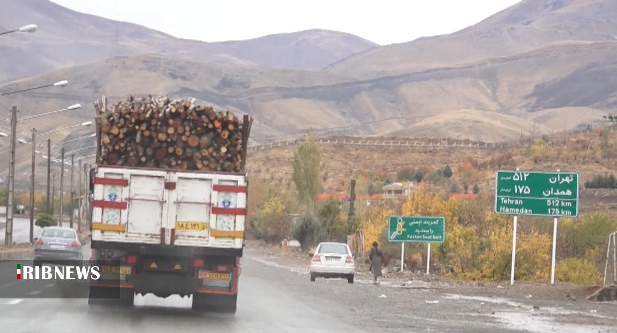 کاهش قاچاق چوب در کردستان