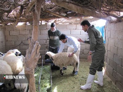 خدمات‌رسانی رایگان به عشایر همدان در مناطق قشلاقی جنوب