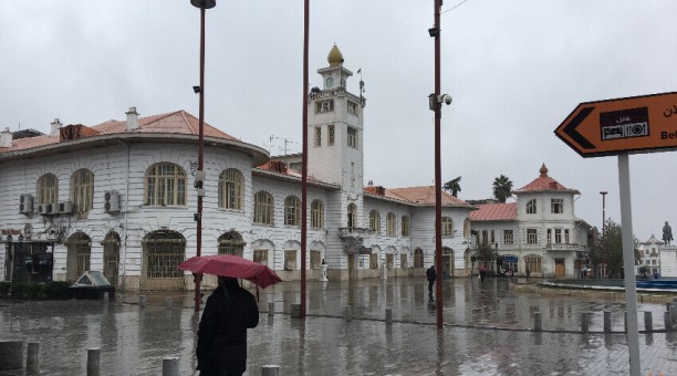 بارش باران و وزش باد در گیلان