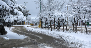 آمادگی شهرداری تهران در صورت بارش برف و باران شدید در پایتخت