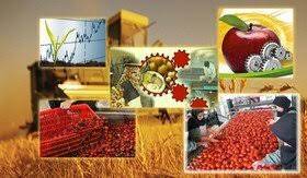 صدور مجوز طرح‌های صنایع تبدیلی بخش کشاورزی در خوزستان