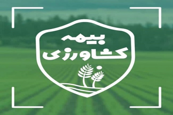 آغاز عملیات بیمه گری محصولات باغی در استان