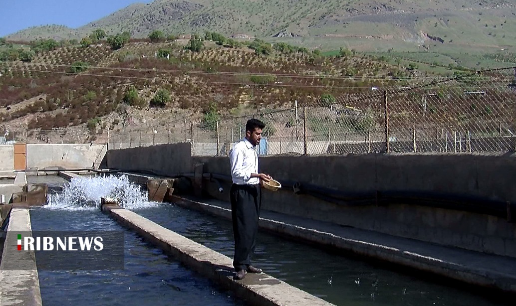 کردستان ظرفیتی برای توسعه صنعت آبزی پروری